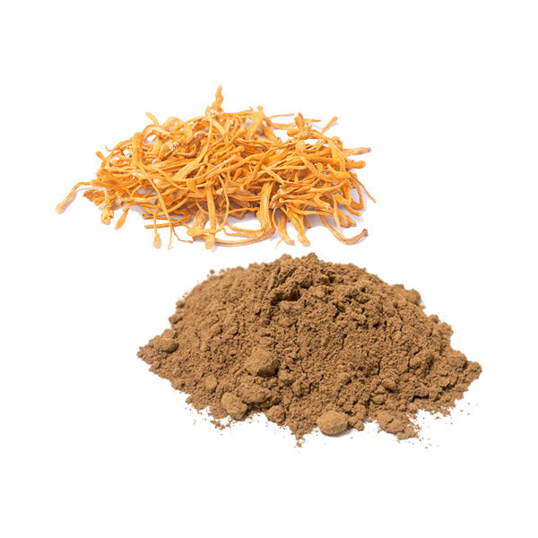Bulk Cordyceps Mushroom Powder Wholesale UK