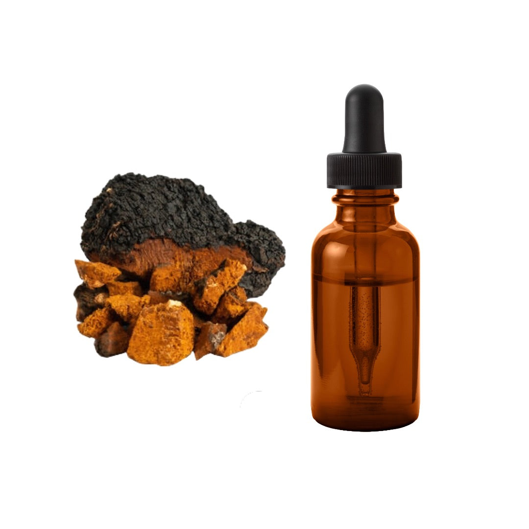 Bulk Pure 20% - 60% Chaga Mushroom Tincture Wholesale UK