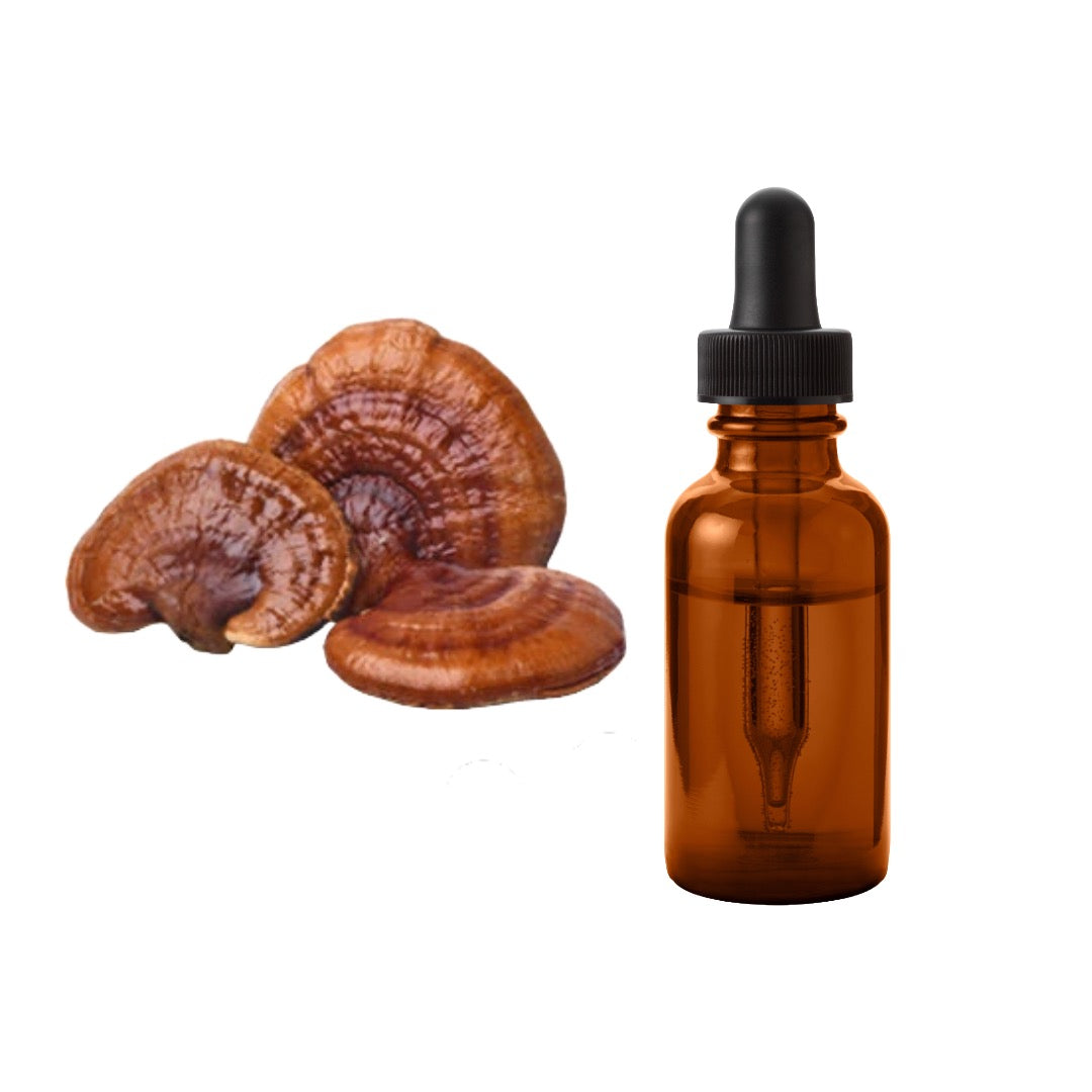 Bulk Pure 20% - 60% Reishi Mushroom Tincture Wholesale UK