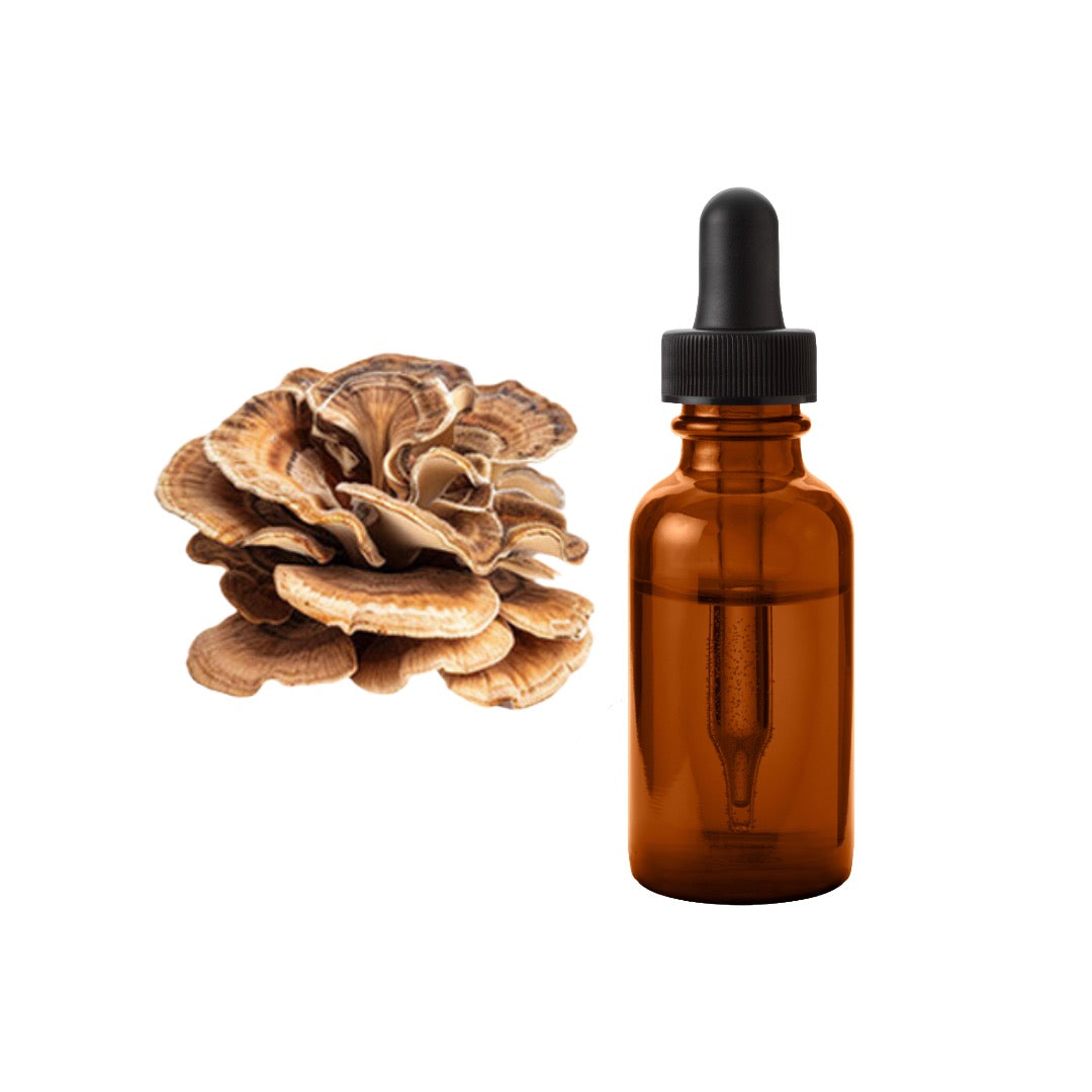 Bulk Pure 20% - 60% Maitake Mushroom Tincture Wholesale UK