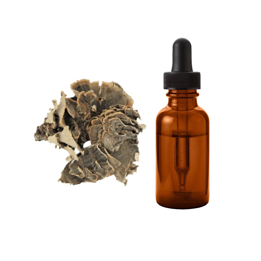 Bulk Pure 20% - 60% Turkey Tail Mushroom Tincture Wholesale UK
