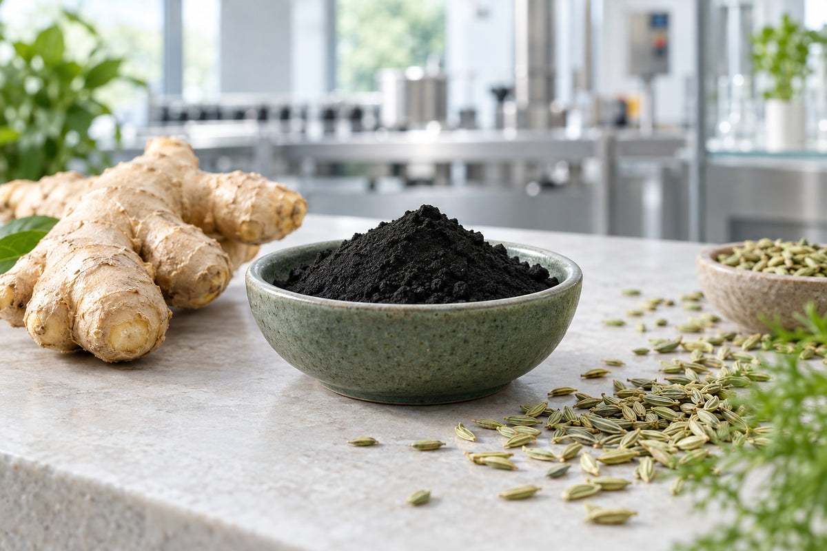 Ginger root, fennel seeds and a dish of black activated charcoal on stone