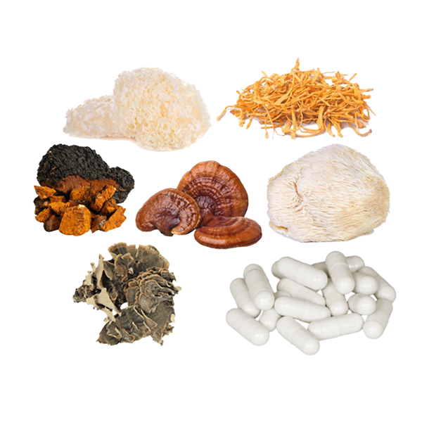 Bulk Mushroom Complex Capsules Wholesale UK