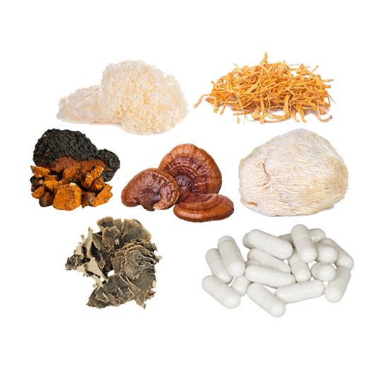 Bulk Mushroom Complex Capsules Wholesale UK