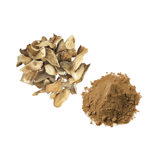 Bulk Oyster Mushroom Powder Wholesale UK