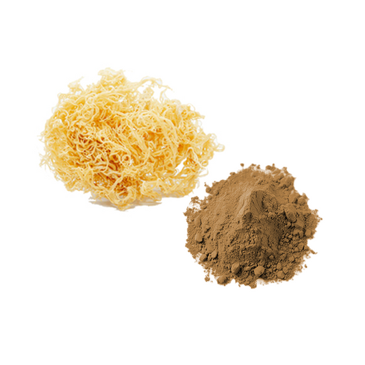 Bulk Sea Moss Powder Wholesale UK