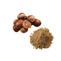 Bulk Shiitake Mushroom Powder Wholesale UK