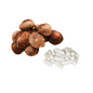 Bulk Pure 500mg Shiitake Mushroom Capsules Wholesale UK