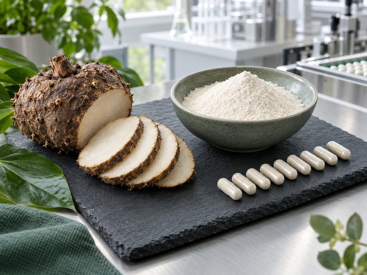 Sliced konjac root beside glucomannan powder and filled capsules